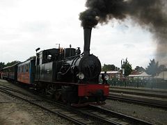 IMG_0135 (Medium)